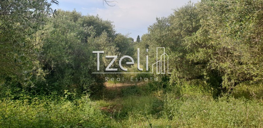 Οικόπεδο 5.340 τ.μ. για πώληση
