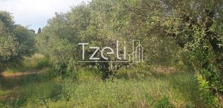Οικόπεδο 5.340 τ.μ. για πώληση, Ν. Ηλείας, Πύργος-thumb-3
