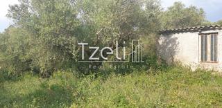 Οικόπεδο 5.340 τ.μ. για πώληση, Ν. Ηλείας, Πύργος-thumb-5