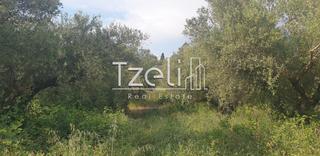 Οικόπεδο 5.340 τ.μ. για πώληση, Ν. Ηλείας, Πύργος-thumb-6