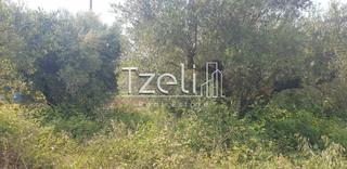 Οικόπεδο 5.340 τ.μ. για πώληση, Ν. Ηλείας, Πύργος-thumb-7