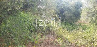 Οικόπεδο 5.340 τ.μ. για πώληση, Ν. Ηλείας, Πύργος-thumb-8