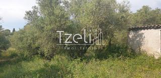Οικόπεδο 5.340 τ.μ. για πώληση, Ν. Ηλείας, Πύργος-thumb-9