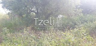 Οικόπεδο 5.340 τ.μ. για πώληση, Ν. Ηλείας, Πύργος-thumb-10