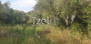 Οικόπεδο 5.340 τ.μ. για πώληση, Ν. Ηλείας, Πύργος-thumb-11