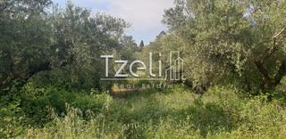 Οικόπεδο 5.340 τ.μ. για πώληση, Ν. Ηλείας, Πύργος-thumb-12