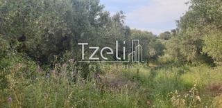 Οικόπεδο 5.340 τ.μ. για πώληση, Ν. Ηλείας, Πύργος-thumb-13