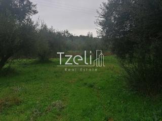 Οικόπεδο 5.340 τ.μ. για πώληση, Ν. Ηλείας, Πύργος-thumb-15