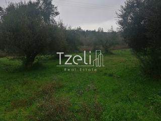 Οικόπεδο 5.340 τ.μ. για πώληση, Ν. Ηλείας, Πύργος-thumb-23