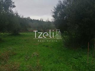Οικόπεδο 5.340 τ.μ. για πώληση, Ν. Ηλείας, Πύργος-thumb-33