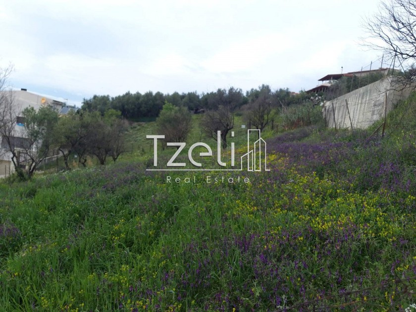 Land plot 540sqm for sale-Patra » Neo Souli