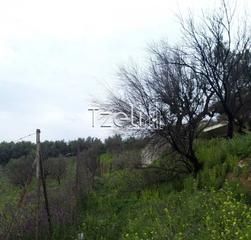 Οικόπεδο 540 τ.μ. για πώληση, Αχαΐα, Πάτρα-thumb-7