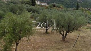 Οικόπεδο 540 τ.μ. για πώληση, Αχαΐα, Πάτρα-thumb-13