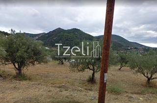 Οικόπεδο 540 τ.μ. για πώληση, Αχαΐα, Πάτρα-thumb-15