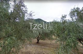 Οικόπεδο 540 τ.μ. για πώληση, Αχαΐα, Πάτρα-thumb-17
