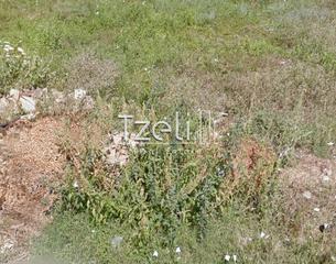 Οικόπεδο 178 τ.μ. για πώληση, Αχαΐα, Μεσσατίδα-thumb-3