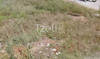 Οικόπεδο 178 τ.μ. για πώληση, Αχαΐα, Μεσσατίδα-thumb-8