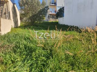 Οικόπεδο 178 τ.μ. για πώληση, Αχαΐα, Μεσσατίδα-thumb-9