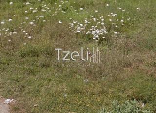 Οικόπεδο 178 τ.μ. για πώληση, Αχαΐα, Μεσσατίδα-thumb-12