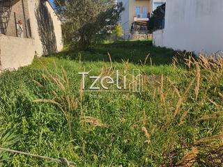 Οικόπεδο 178 τ.μ. για πώληση, Αχαΐα, Μεσσατίδα-thumb-15