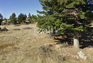 Οικόπεδο 7.142 τ.μ. για πώληση, Αχαΐα, Καλάβρυτα-thumb-17