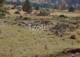 Οικόπεδο 7.142 τ.μ. για πώληση, Αχαΐα, Καλάβρυτα-thumb-21