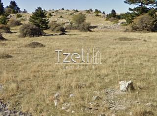 Οικόπεδο 7.142 τ.μ. για πώληση, Αχαΐα, Καλάβρυτα-thumb-27