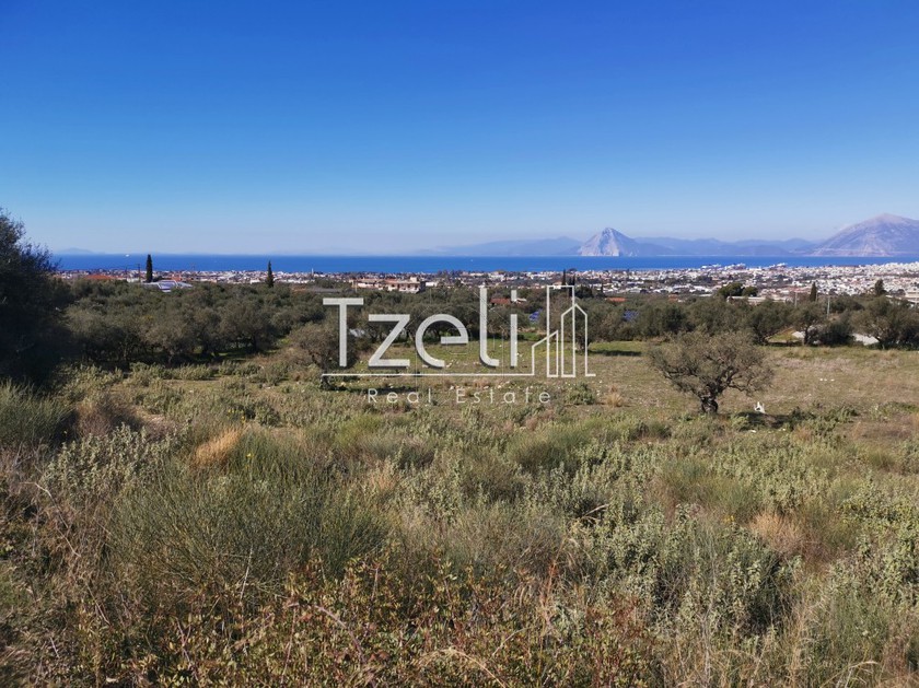 Parcel 12.500sqm for sale-Messatida » Krini