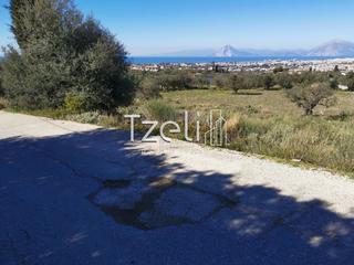 Αγροτεμάχια 12.500 τ.μ. για πώληση, Αχαΐα, Μεσσατίδα-thumb-4