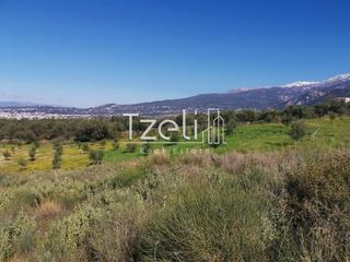 Αγροτεμάχια 12.500 τ.μ. για πώληση, Αχαΐα, Μεσσατίδα-thumb-10