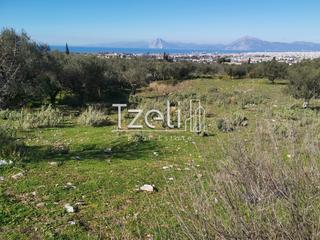Αγροτεμάχια 12.500 τ.μ. για πώληση, Αχαΐα, Μεσσατίδα-thumb-21