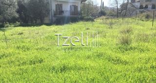 Οικόπεδο 1.339 τ.μ. για πώληση, Εύβοια, Κάρυστος-thumb-11