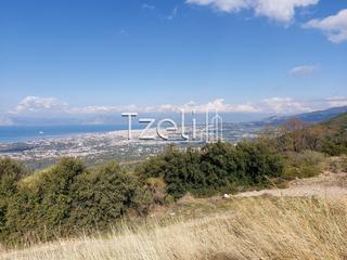 Οικόπεδο 10.000 τ.μ. για πώληση, Αχαΐα, Μεσσατίδα-thumb-15
