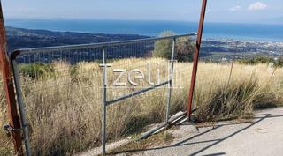 Οικόπεδο 10.000 τ.μ. για πώληση, Αχαΐα, Μεσσατίδα-thumb-17