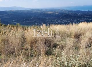Οικόπεδο 10.000 τ.μ. για πώληση, Αχαΐα, Μεσσατίδα-thumb-18