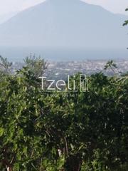 Οικόπεδο 10.000 τ.μ. για πώληση, Αχαΐα, Μεσσατίδα-thumb-26