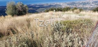 Οικόπεδο 10.000 τ.μ. για πώληση, Αχαΐα, Μεσσατίδα-thumb-28