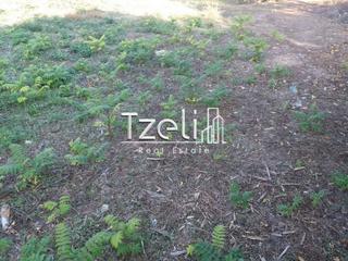 Οικόπεδο 257 τ.μ. για πώληση, Αχαΐα, Πάτρα-thumb-19
