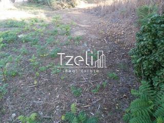 Οικόπεδο 257 τ.μ. για πώληση, Αχαΐα, Πάτρα-thumb-22