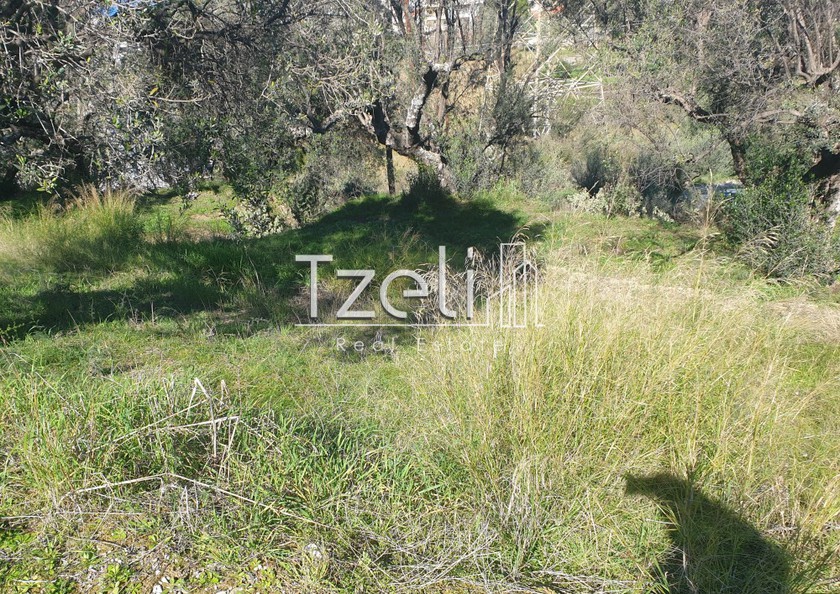 Parcel 1.000sqm for sale-Patra » Zavlani