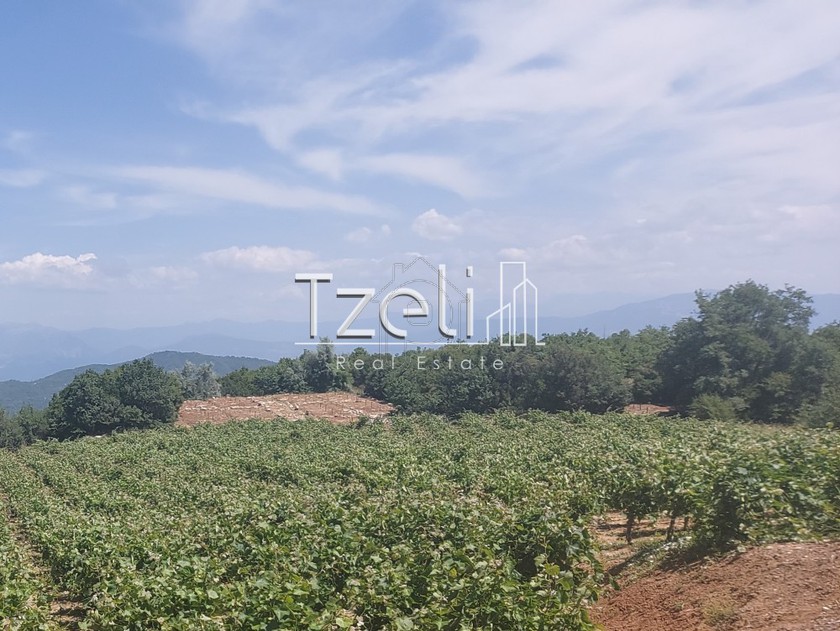 Parcel 15.000sqm for sale-Egialia » Mageiras