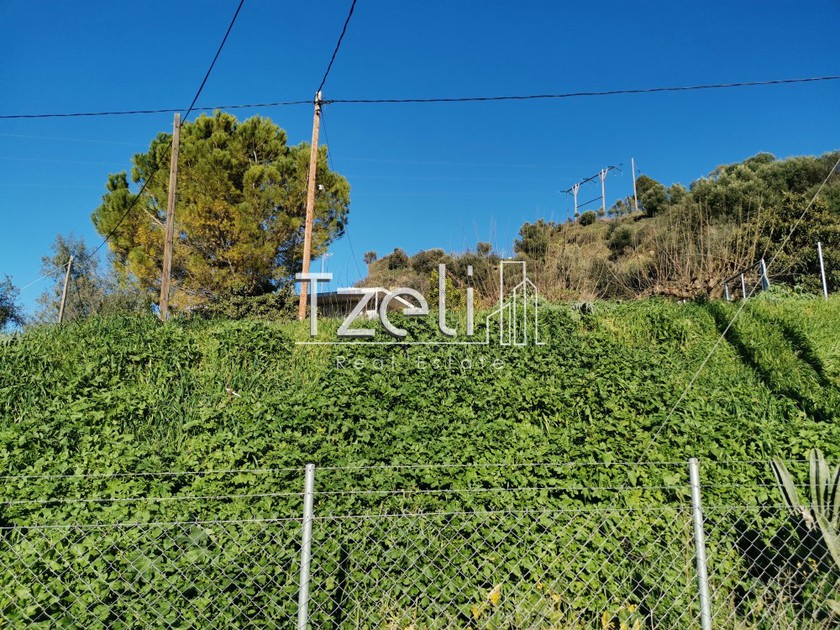 Land plot 401sqm for sale-Patra » Zavlani