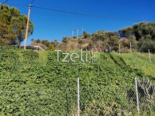 Οικόπεδο 401 τ.μ. για πώληση, Αχαΐα, Πάτρα-thumb-6