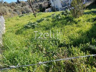 Οικόπεδο 401 τ.μ. για πώληση, Αχαΐα, Πάτρα-thumb-28