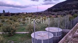 Οικόπεδο 7.800 τ.μ. για πώληση