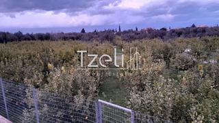 Οικόπεδο 7.800 τ.μ. για πώληση, Αχαΐα, Διακοπτό-thumb-1