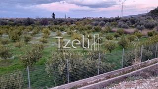 Οικόπεδο 7.800 τ.μ. για πώληση, Αχαΐα, Διακοπτό-thumb-2