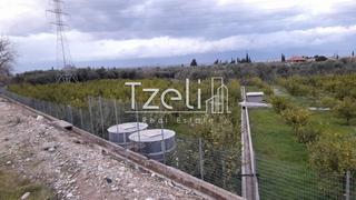 Οικόπεδο 7.800 τ.μ. για πώληση, Αχαΐα, Διακοπτό-thumb-4