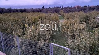 Οικόπεδο 7.800 τ.μ. για πώληση, Αχαΐα, Διακοπτό-thumb-7