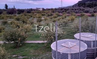 Οικόπεδο 7.800 τ.μ. για πώληση, Αχαΐα, Διακοπτό-thumb-8